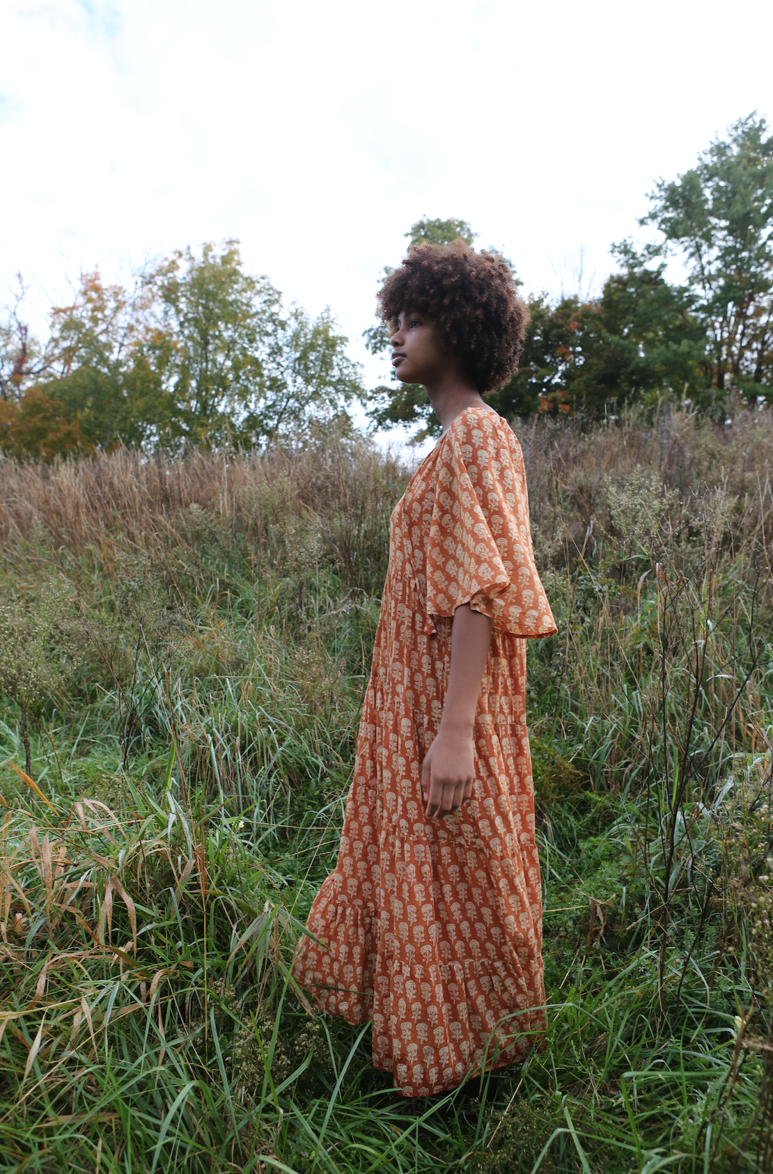 Athena Dress in Rust