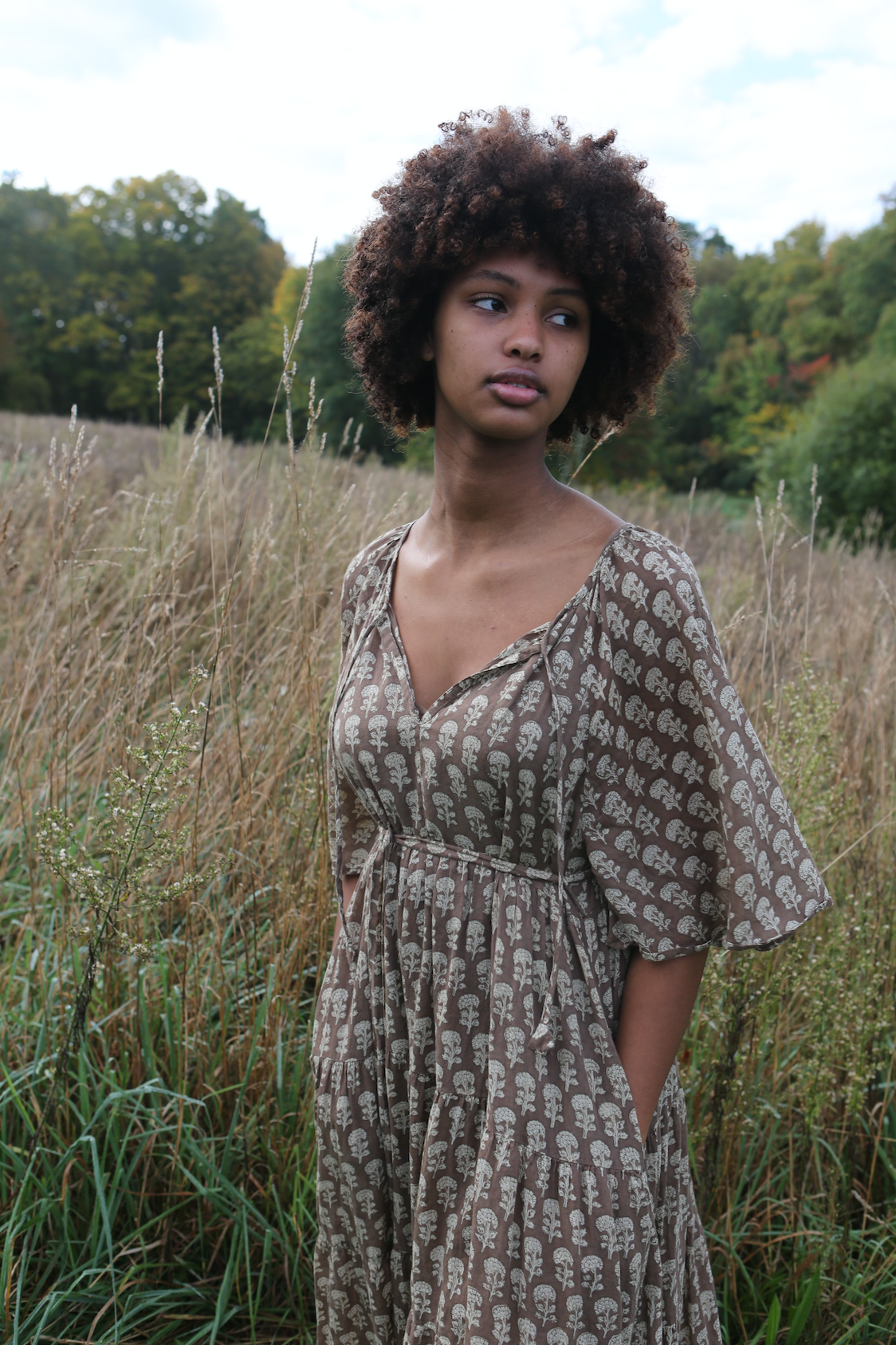Athena Dress in Mocha